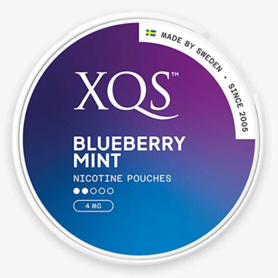 XQS Blueberry Mint 4mg